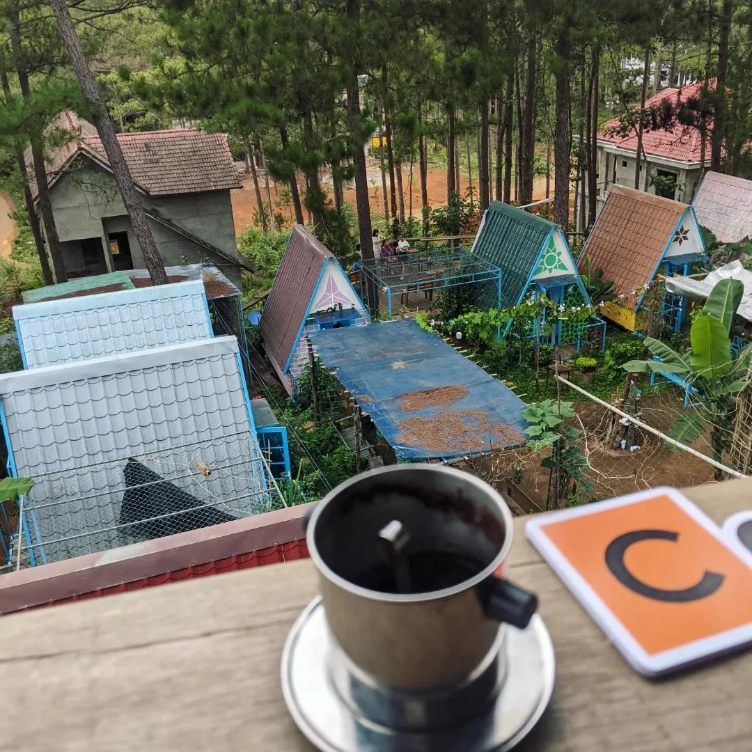 Morning Drip Coffee in Pines