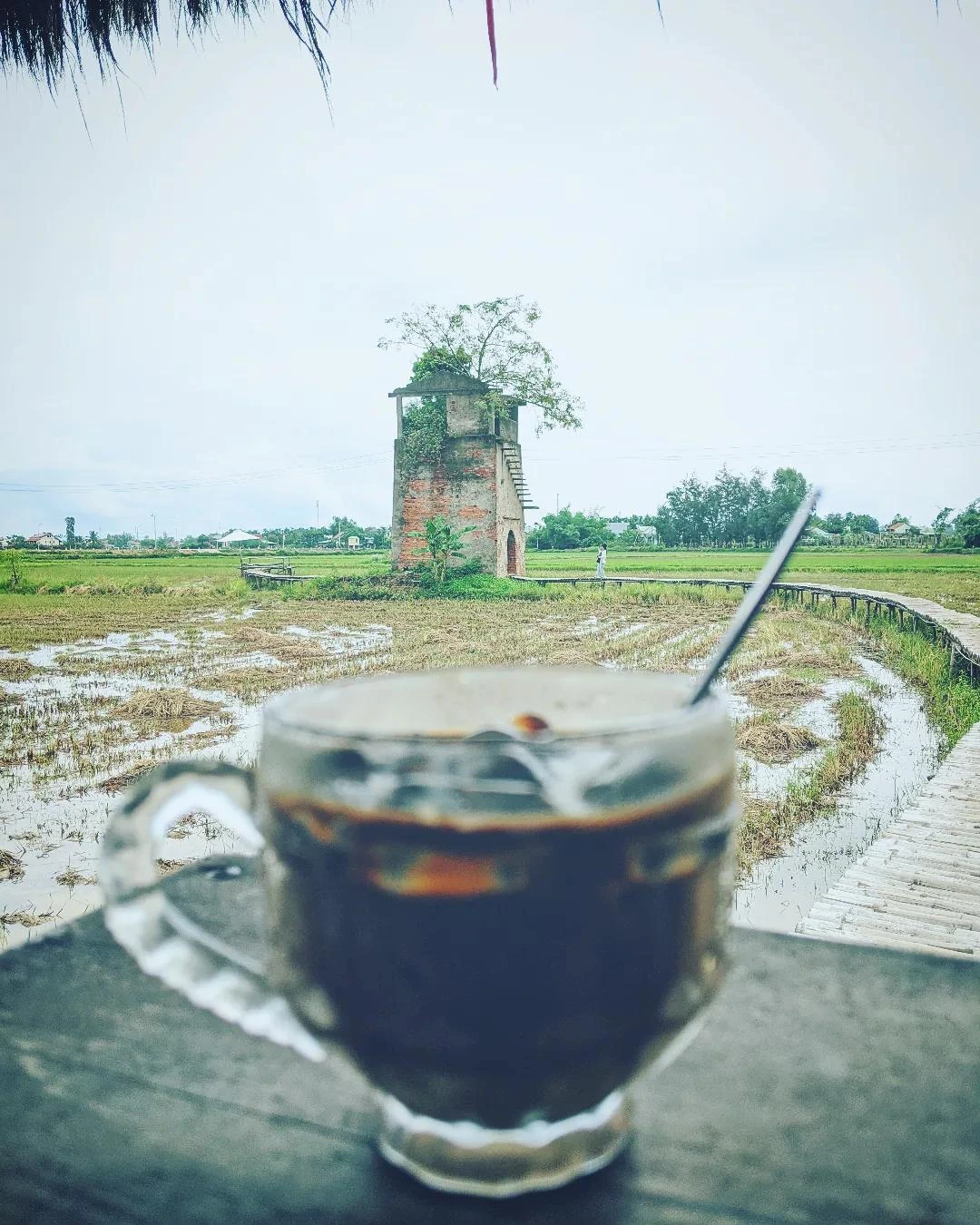 Champa Tower & Rice Fields Coffee